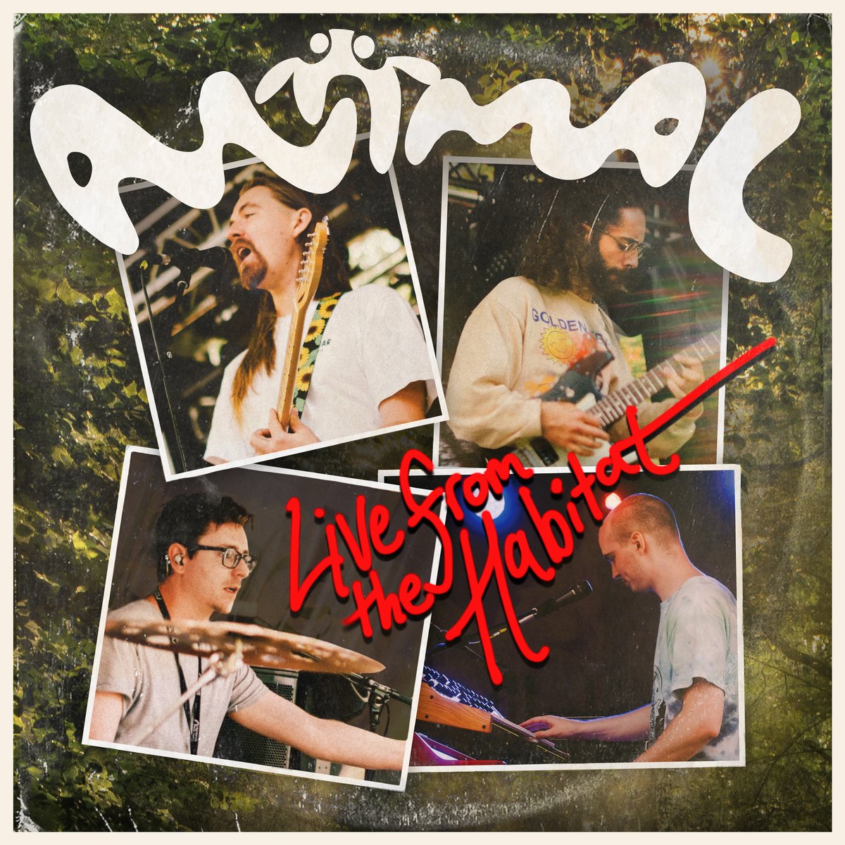 Live From The Habitat album artwork