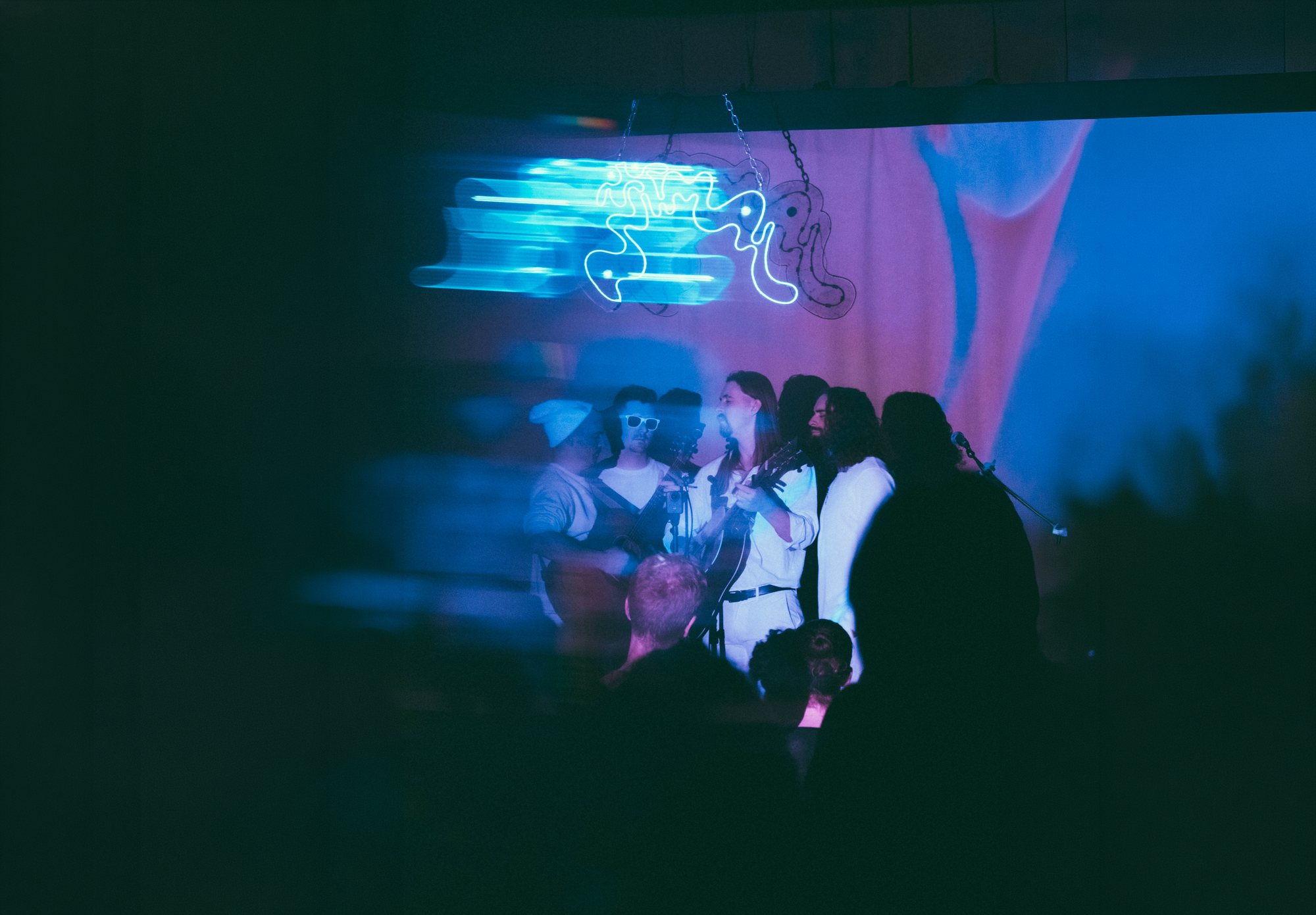 animal on stage with a packed crowd